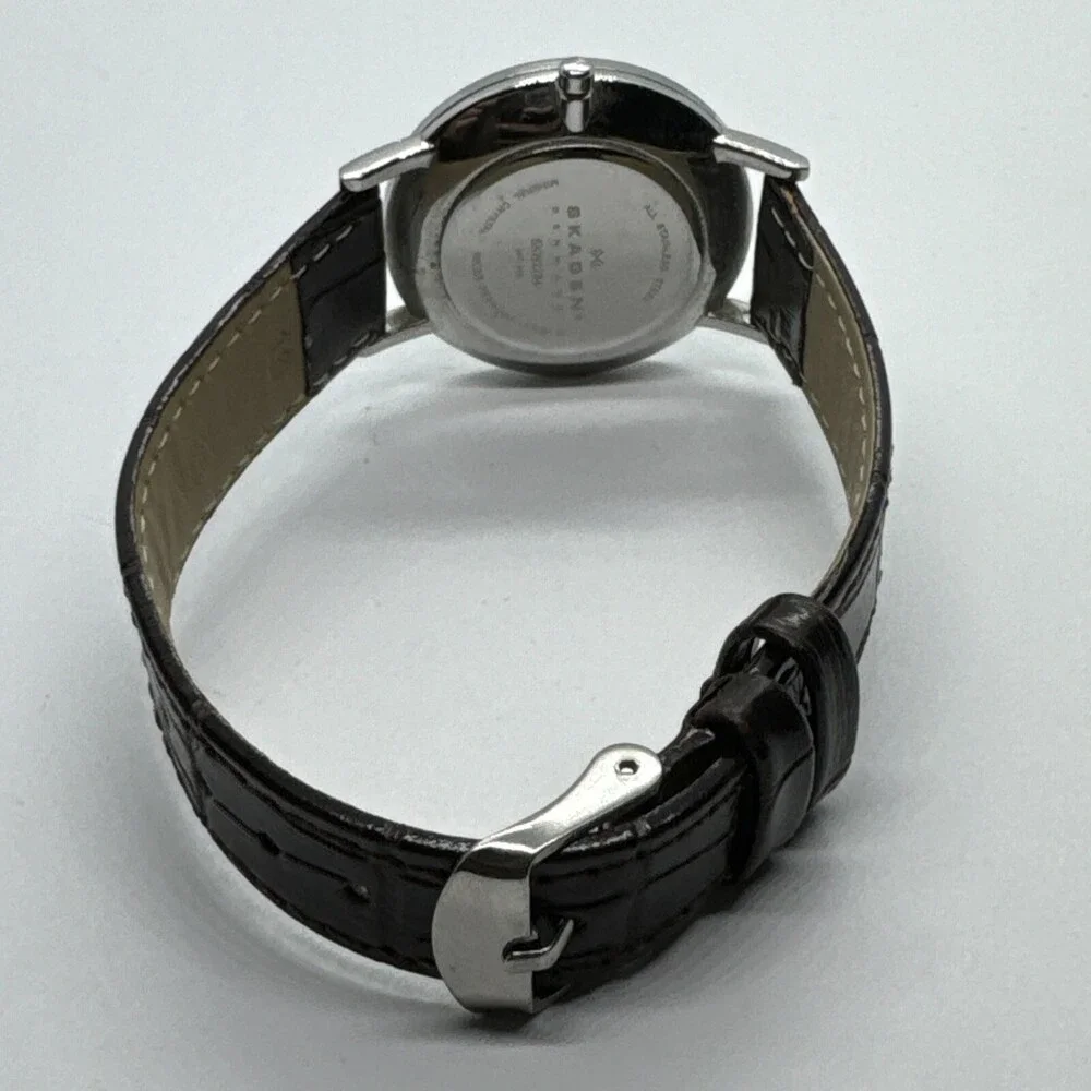 Skagen Denmark SKW2284 Women Brown Leather Analog Dial Quartz Wrist Watch AEA288